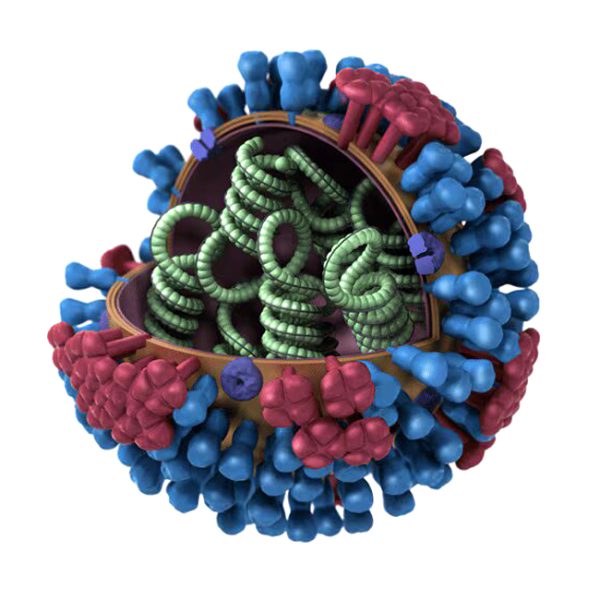 0002_influenza